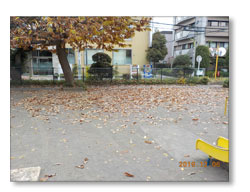 �������|